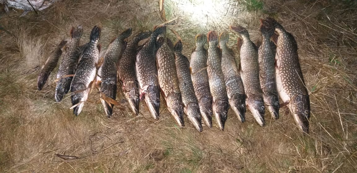 На озере Асликуль задержали браконьеров 